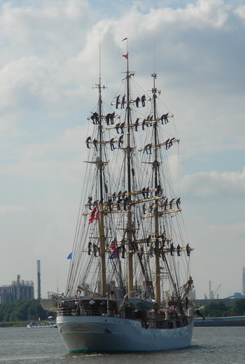 on the rigging